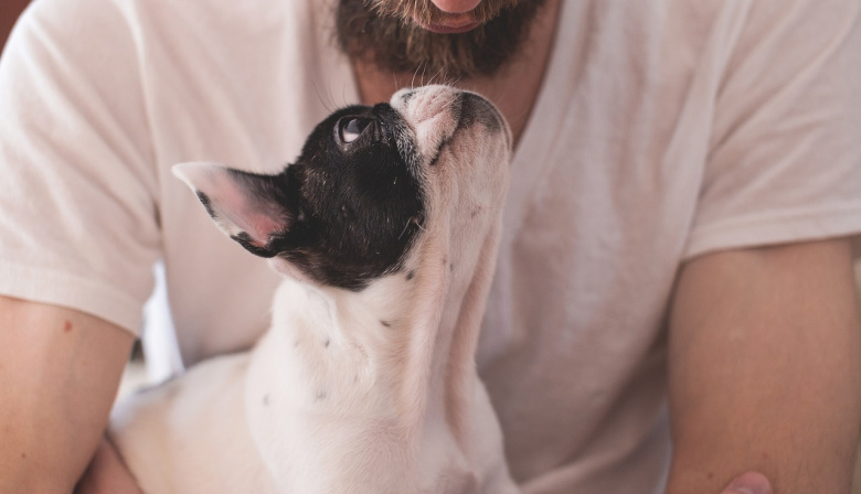 Día del Animal: por qué se celebra hoy en la Argentina y no en todo el mundo