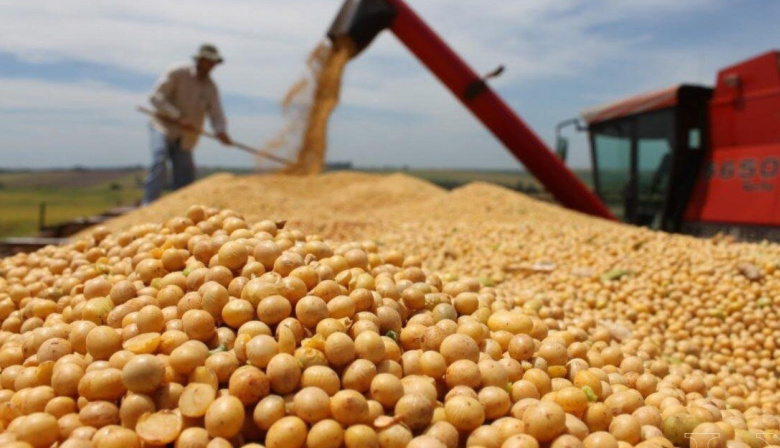 Una medida exprés para el campo: el Gobierno baja al 0% los derechos de exportación