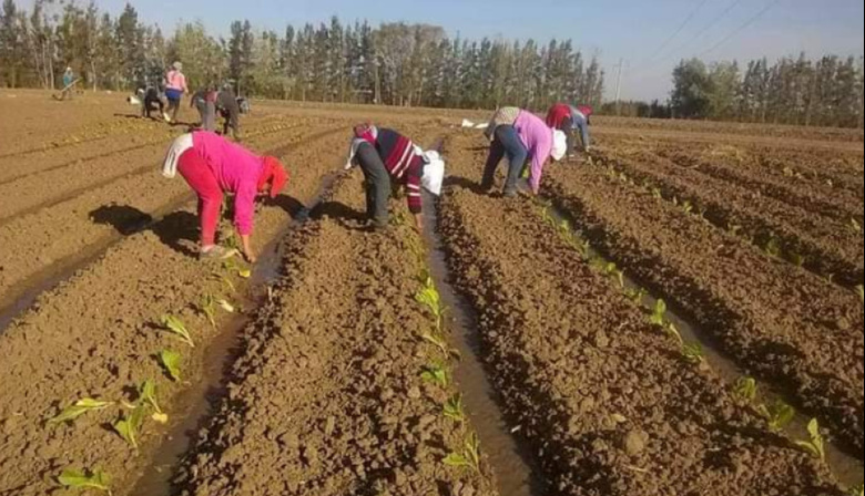"Sin ellas, no hay campo posible"