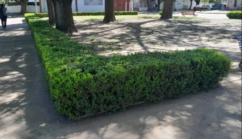 El plan que busca preservar espacios públicos