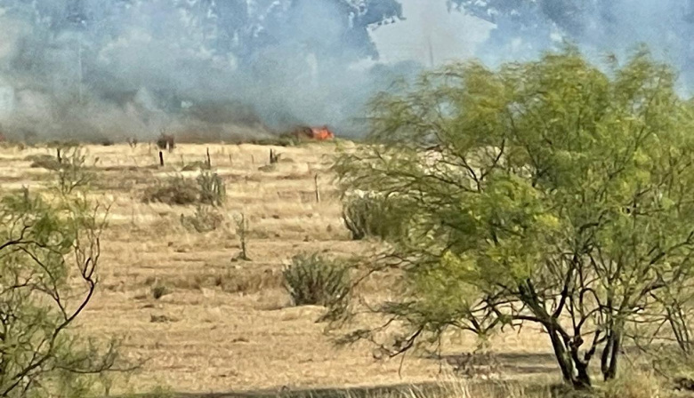 El sur bonaerense, entre las llamas y la desidia