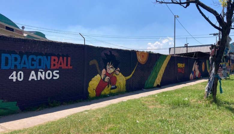 Goku ya está en Calzada
