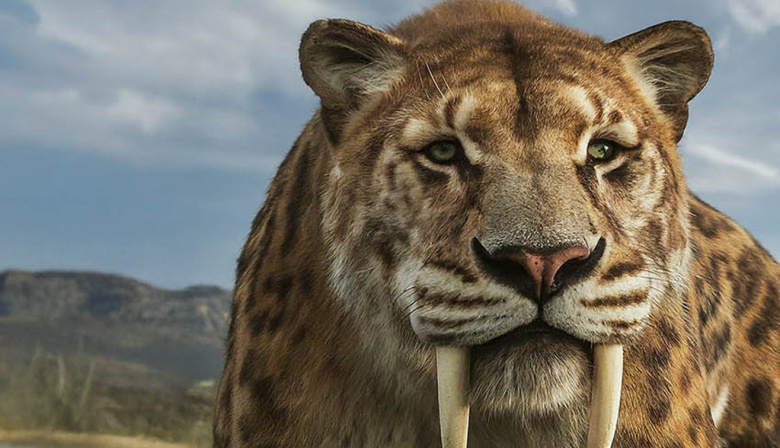 Brandsen, territorio del tigre dientes de sable