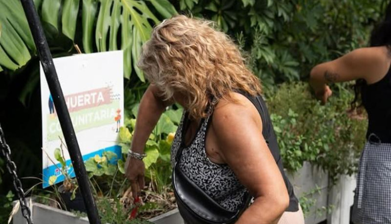 La huerta volvió a crecer en Budge