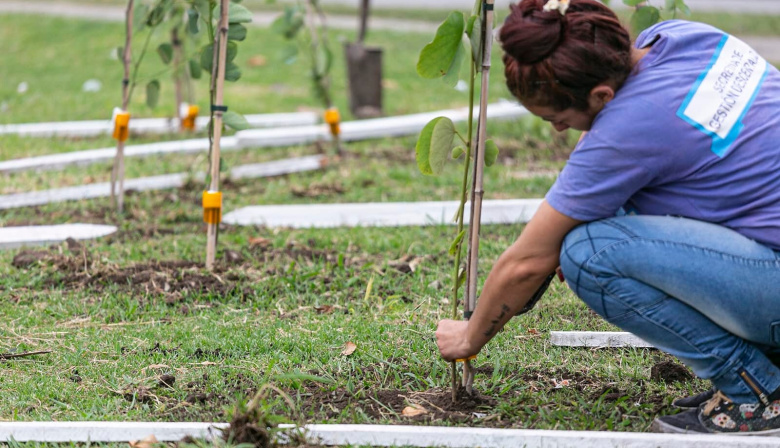 Más verde en Brown: avanza la forestación en Don Orione