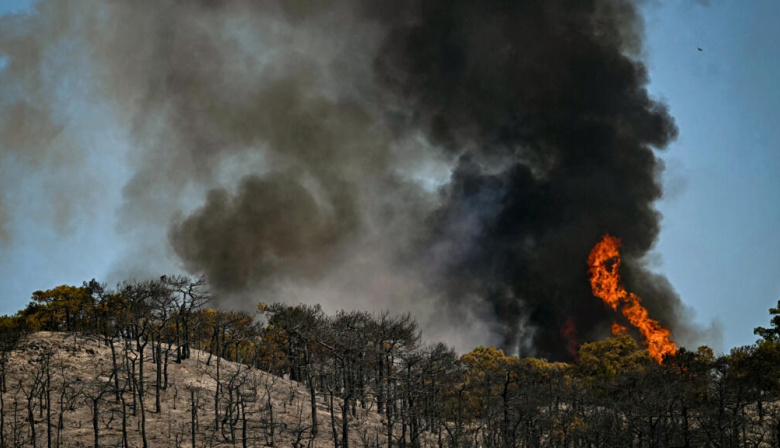 Un informe expone el deterioro ambiental