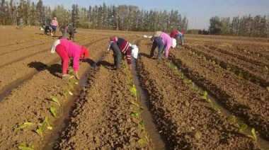 "Sin ellas, no hay campo posible"