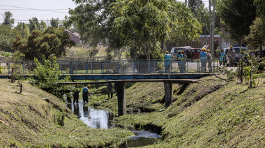 Donde había basura, ahora hay verde