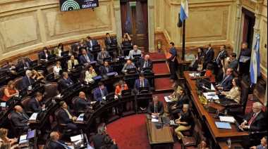 El Senado define hoy el futuro de la tierra