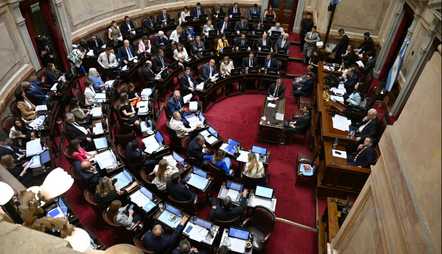 El Senado define el plan Milei