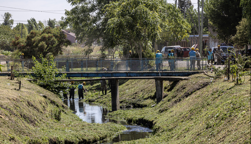 Donde había basura, ahora hay verde