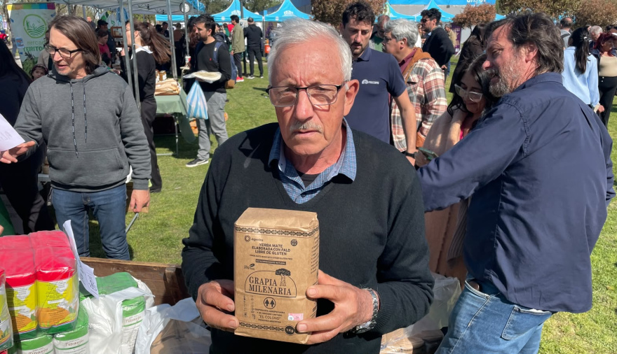 Yerba mate sin agroquímicos: la apuesta de un productor misionero