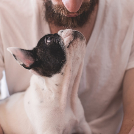 Día del Animal: por qué se celebra hoy en la Argentina y no en todo el mundo