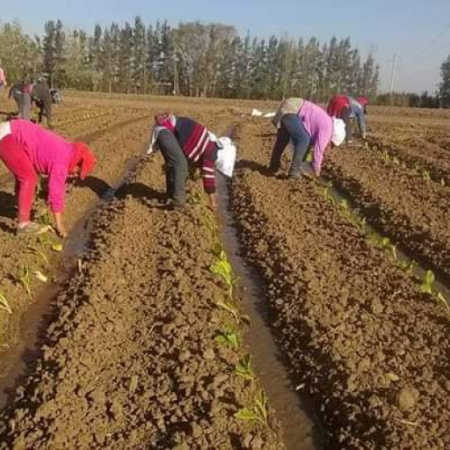 "Sin ellas, no hay campo posible"