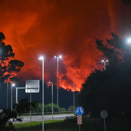 El día después: pericias y revelaciones
