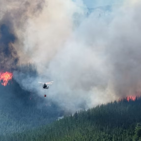 Fuego fuera de control en la Comarca Andina