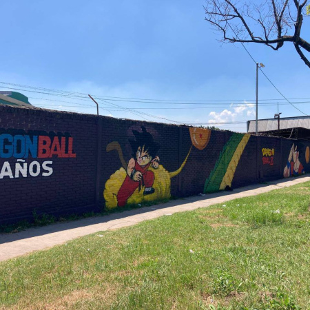 Goku ya está en Calzada