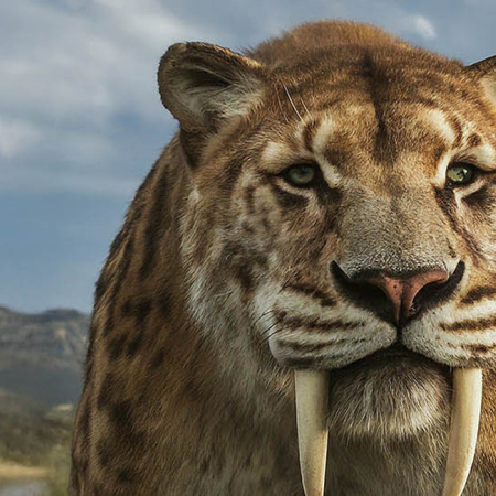 Brandsen, territorio del tigre dientes de sable