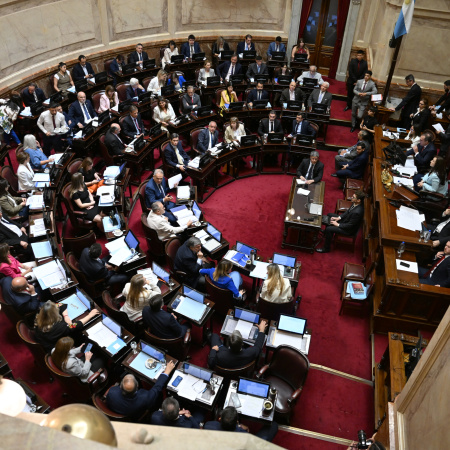 El Senado define el plan Milei