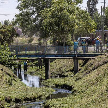 Donde había basura, ahora hay verde
