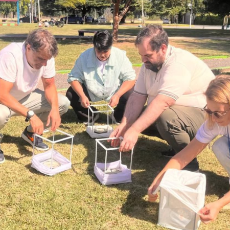 Liberan mosquitos para frenar el dengue