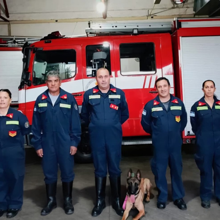 Lola, la nueva heroína de cuatro patas