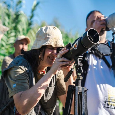 La riqueza oculta del Parque Finky: cerca de 50 especies