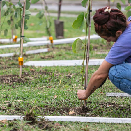 Más verde en Brown: avanza la forestación en Don Orione