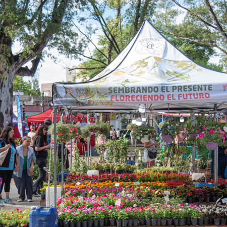 Expo Vivero: flores, sabores y ofertas en Adrogué